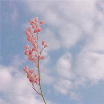 BOB最新版本下载